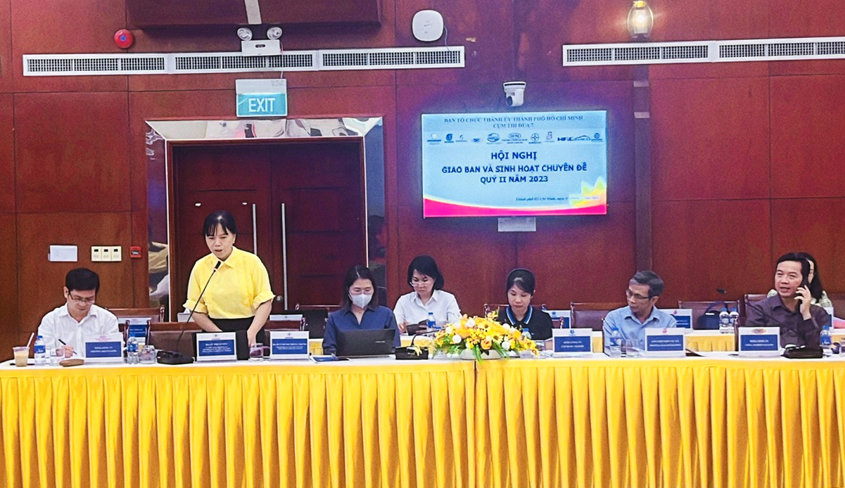 Đồng chí Lê Thị Luyến  – UVBTV, Trưởng Ban Tổ chức Đảng ủy Tổng Công ty Điện lực TP.HCM phát biểu tại hội nghị.